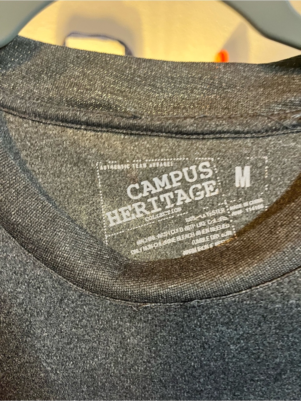 ARKANSAS Campus Heritage - Picture 3 of 3